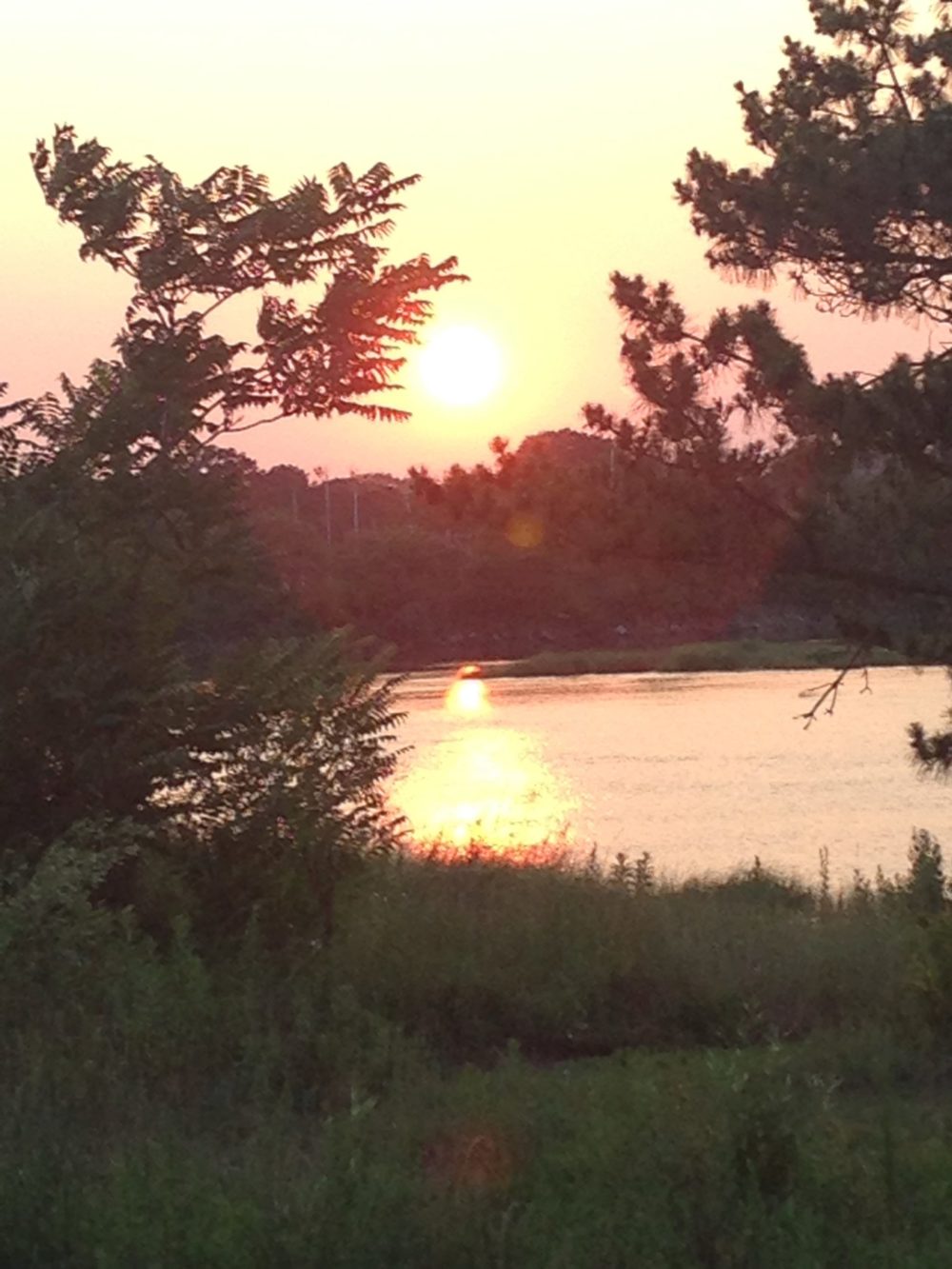 CT trees and sunrise