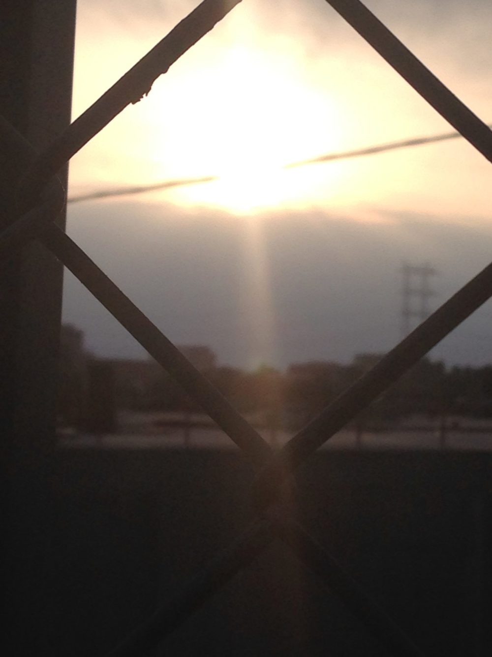 sun through fence