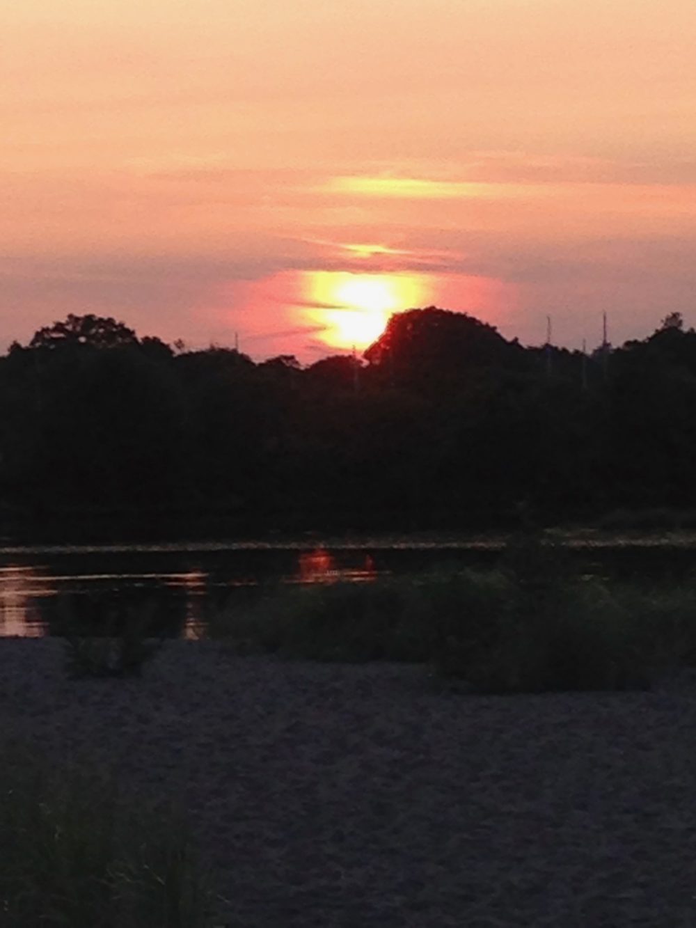 orange and pink sunrise with trees